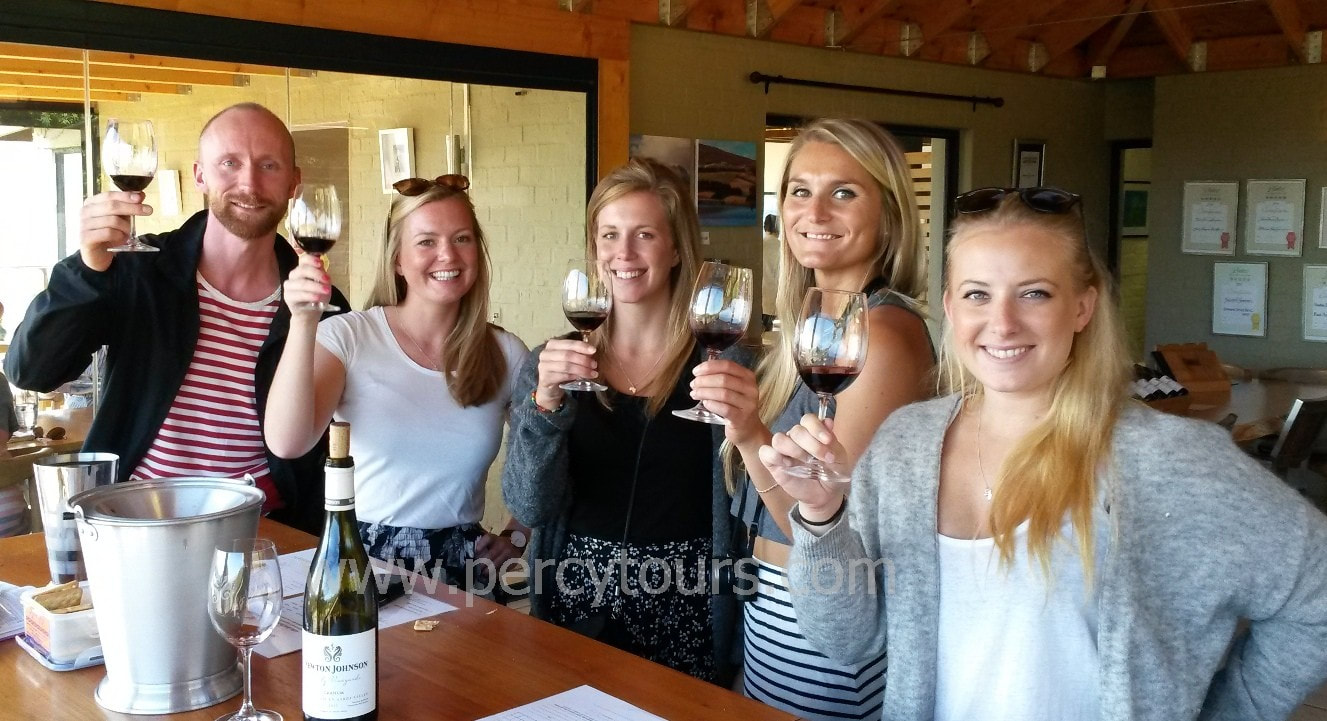 Wine tours at wineries in Hermanus South Africa with Percy Tours
